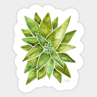 Green Aloe Vera Sticker